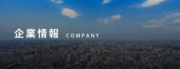 DENBA公式販売代理店の株式会社ボイスの会社概要