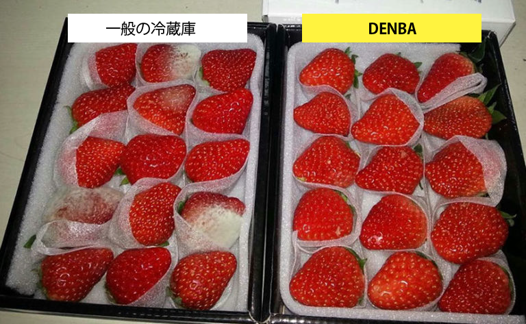 いちごの比較実験