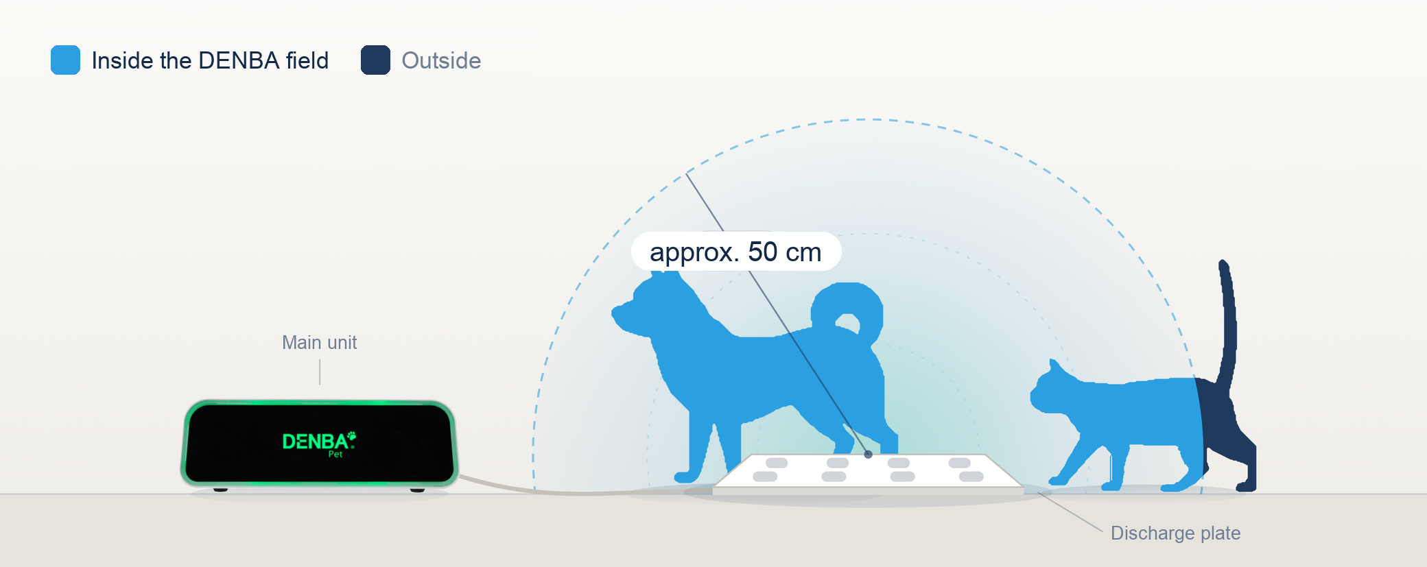 A diagram showing that a DENBA field of roughly 50 cm in radius forms around the discharge plate.