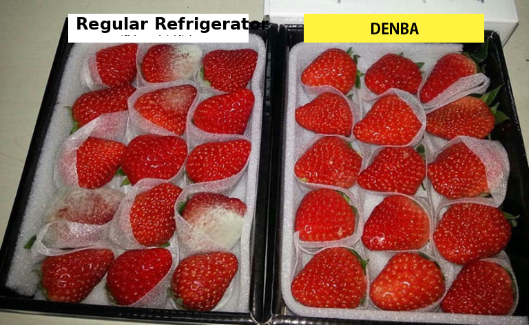 Strawberry comparison experiment