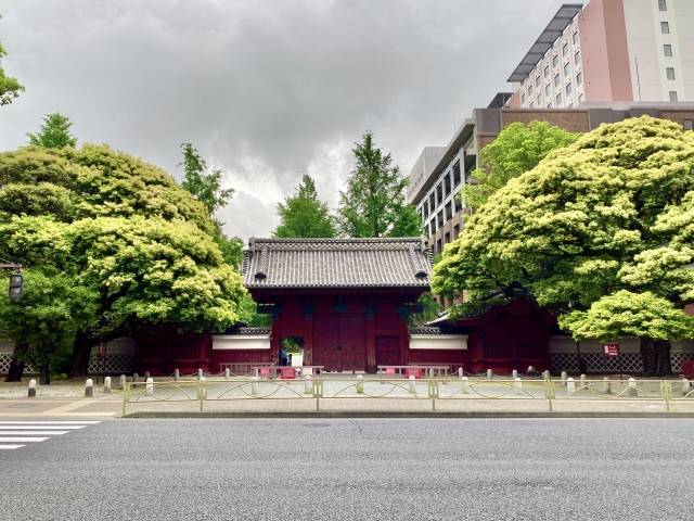 Infertility treatment image