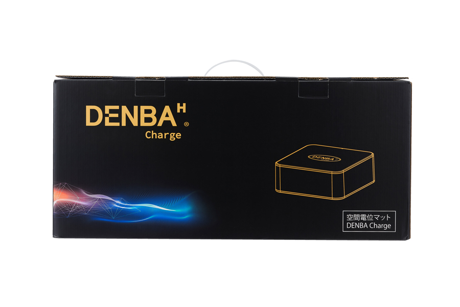 DENBA Charge 詳細2