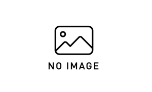 DENBA＋2.0M延長コード （DENBA2.0用）DP-CB2000-m12